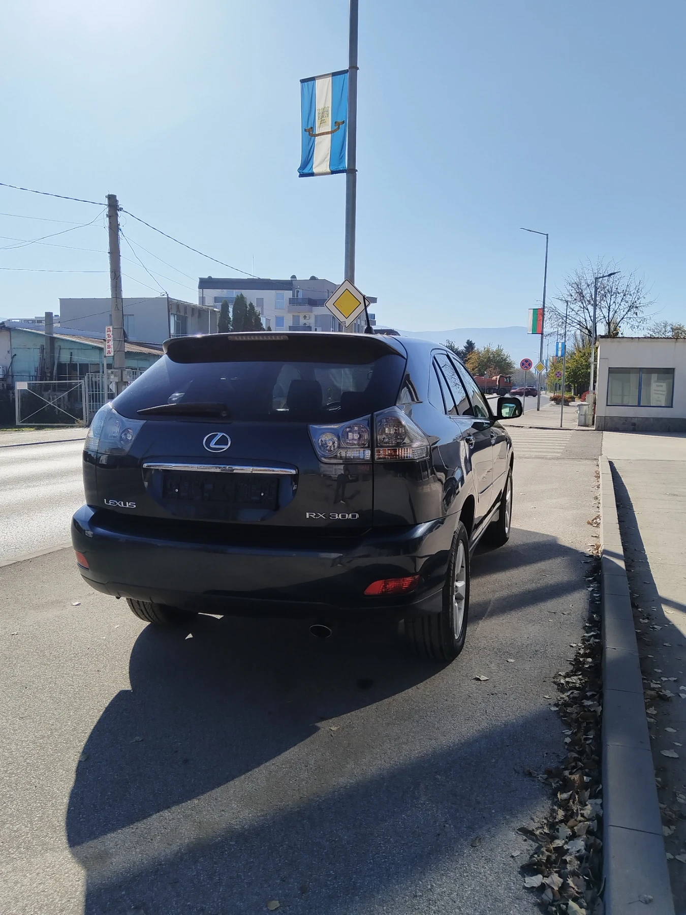 Lexus RX 300 3000 VVT-i | Mobile.bg � ����������� 8