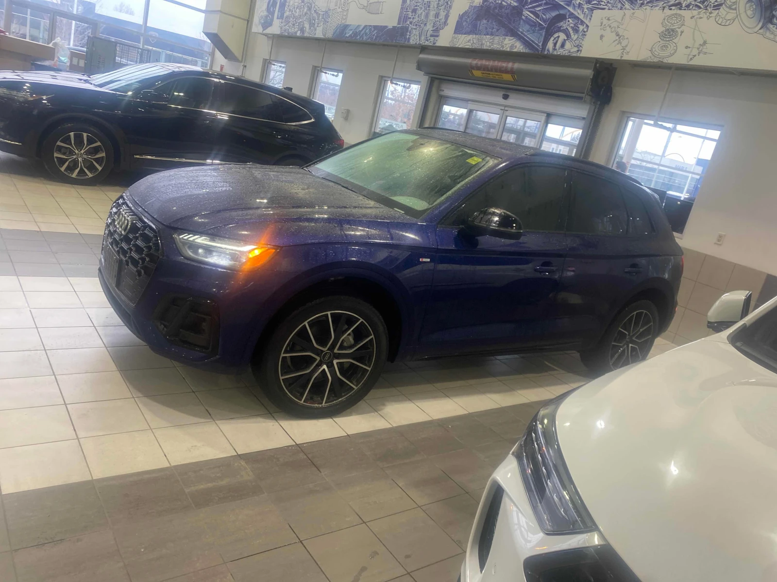 Audi Q5 * Technik * CARFAX * ДИСТРОНИК*  - изображение 2