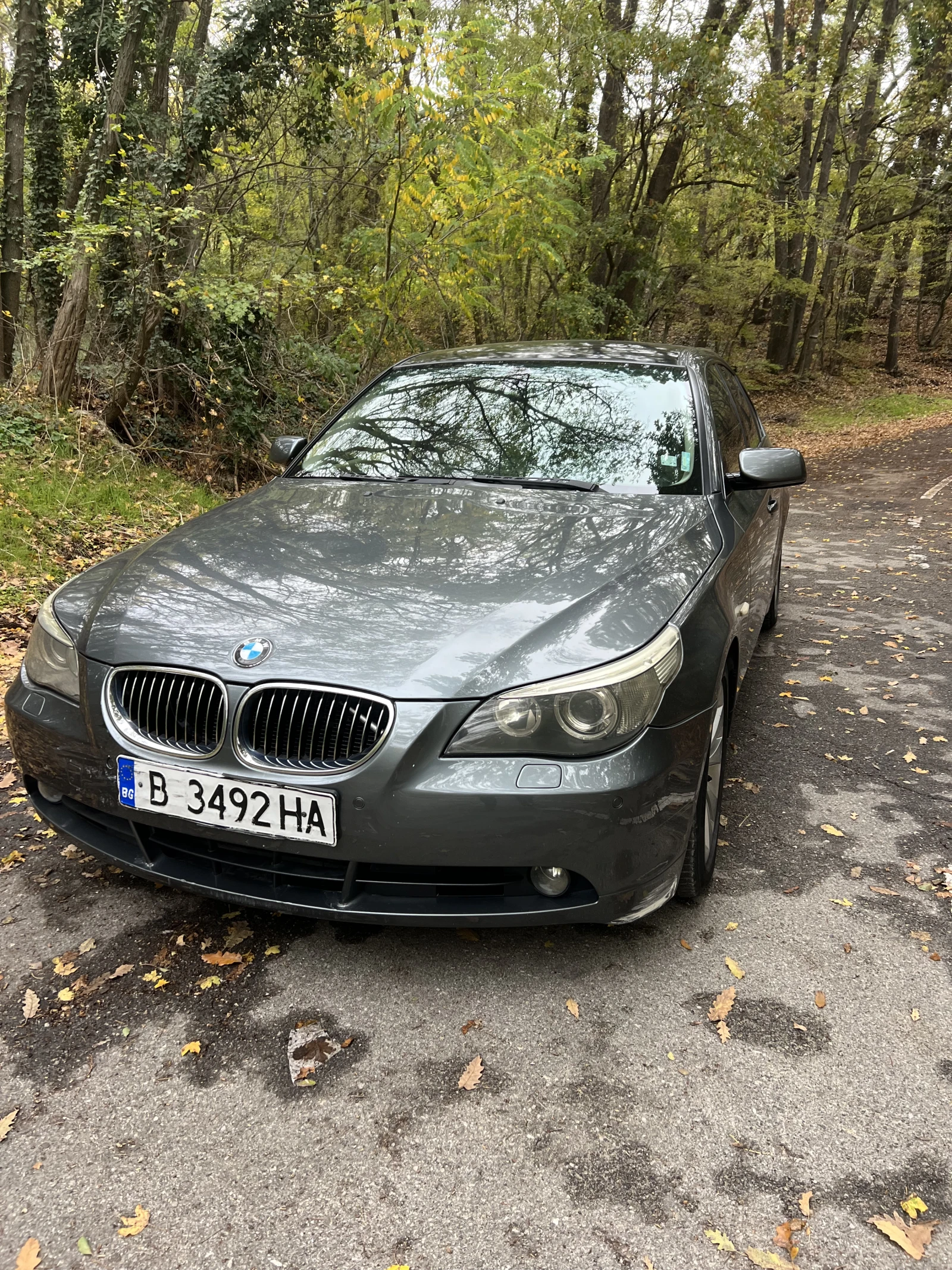 BMW 530 231 hp | Mobile.bg   2