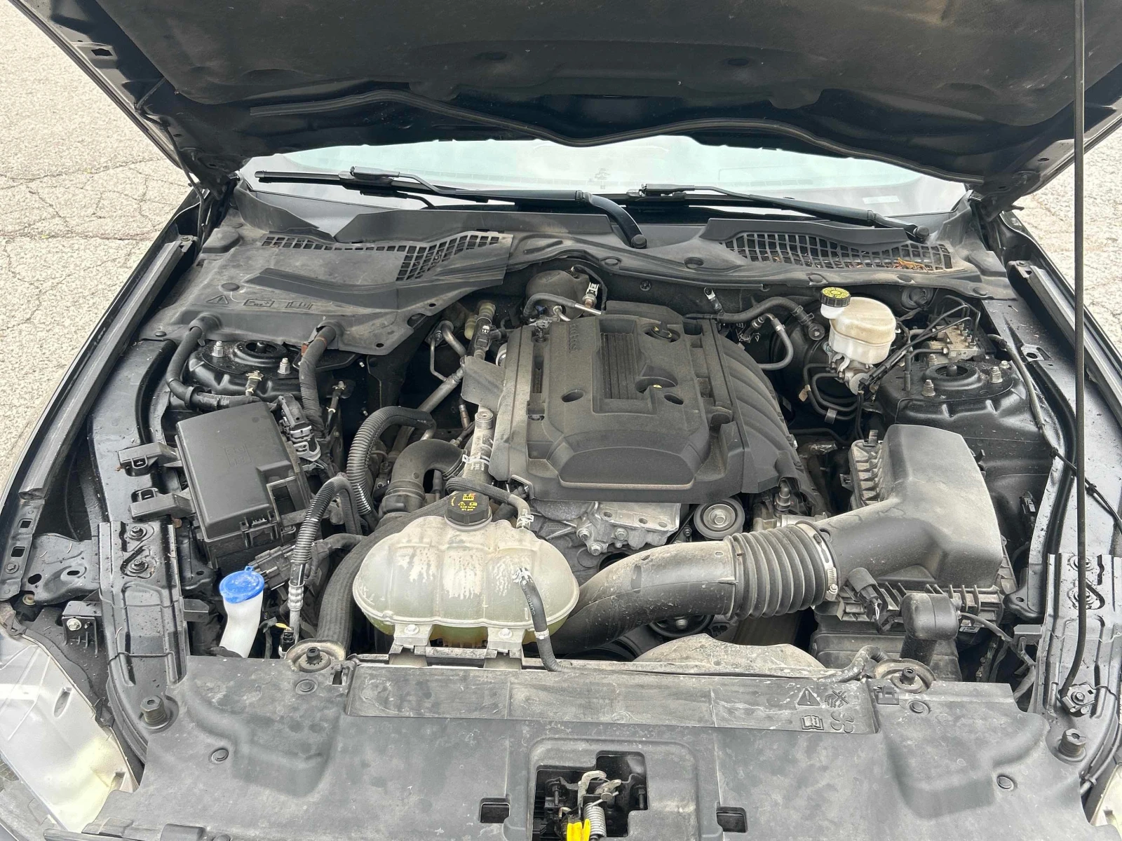 Ford Mustang * EcoBoost * CARFAX * ОПЦИЯ ЗА ФИНАНСИРАНЕ , снимка 16 - Автомобили и джипове - 55817415