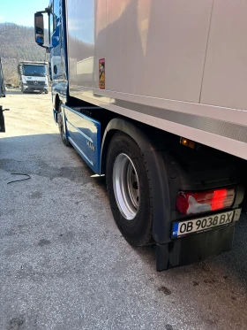 Man Tgx 440 | Mobile.bg    16