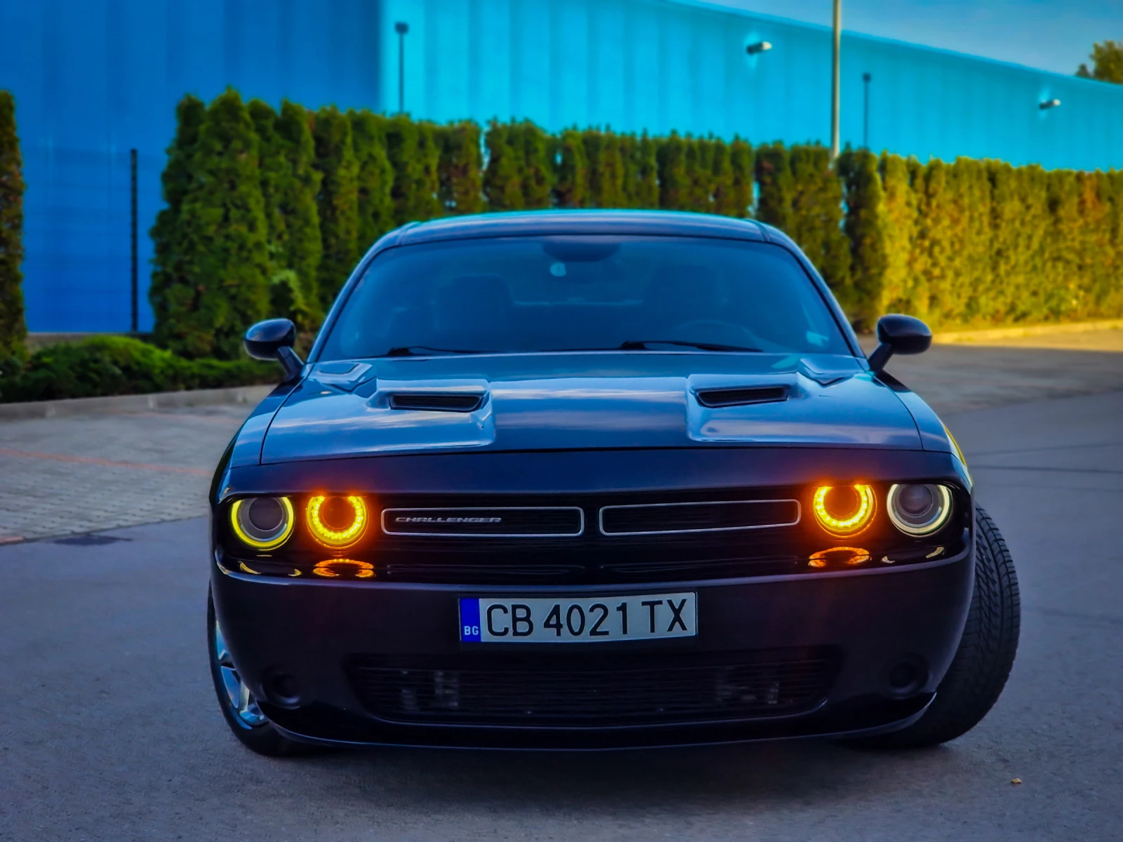 Dodge Challenger 3.6 SXT Газ. Инж. - изображение 3