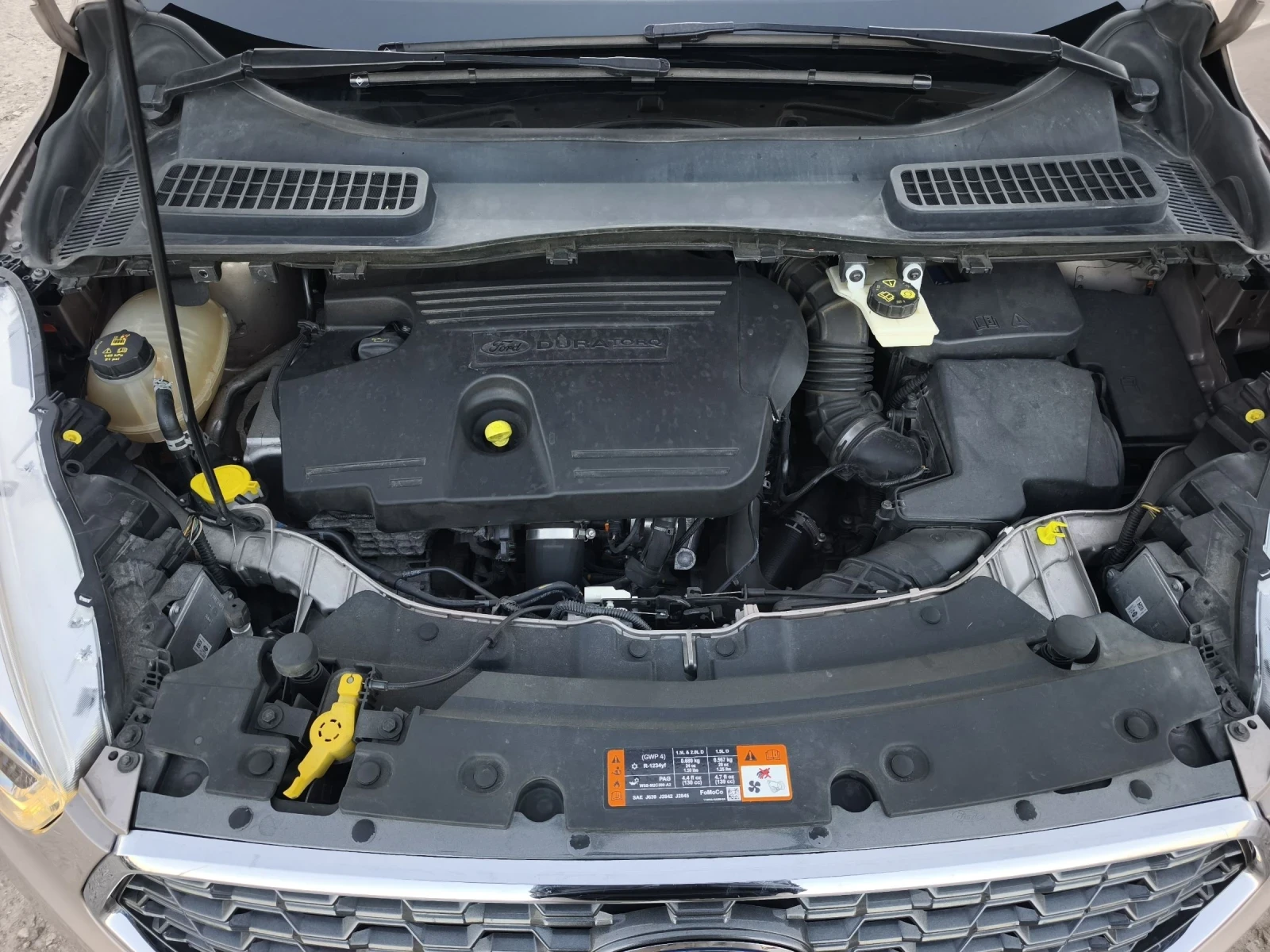 Ford Kuga 2.0TDCI 4X4 VIGNALE FULL SERVICE NEW !!! | Mobile.bg � ����������� 16