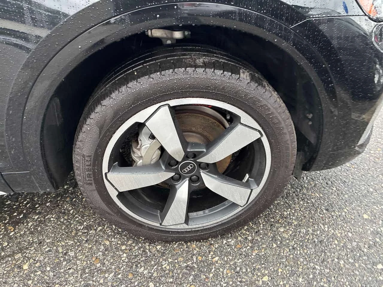Audi Q5 * PROGRESSIV * CARFAX * , снимка 4 - Автомобили и джипове - 56684024