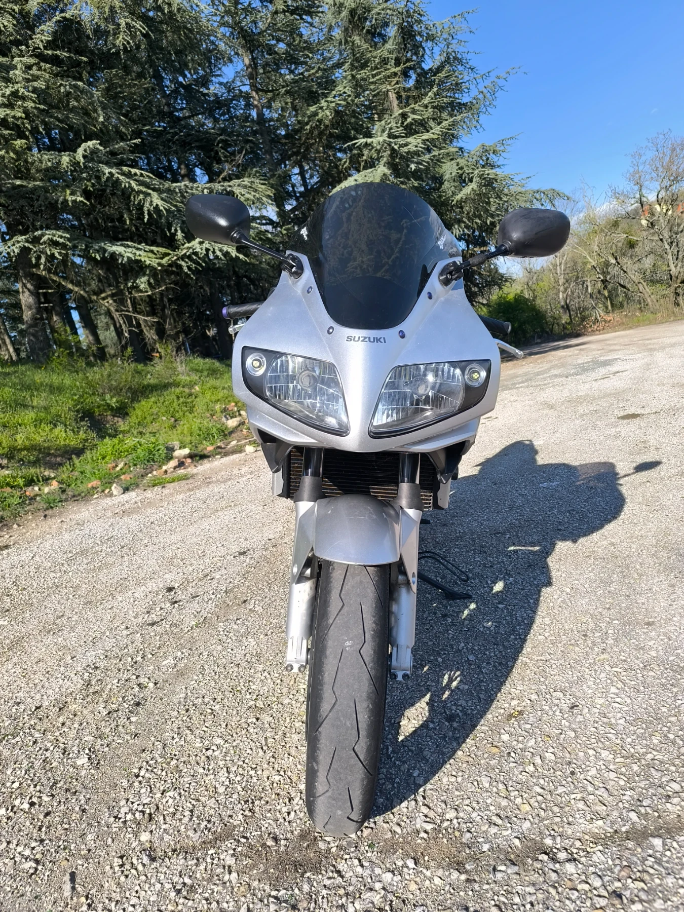 Suzuki SV 1000S - изображение 5