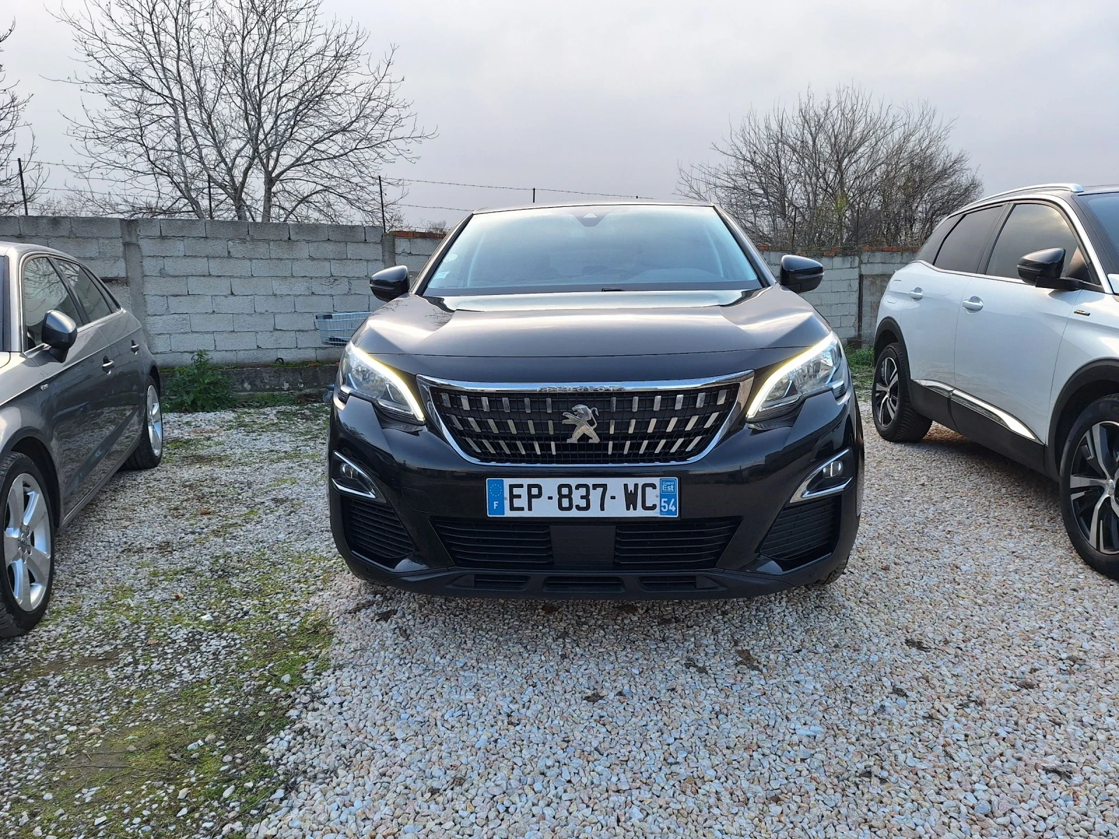 Peugeot 3008 1.6hdi* ���������/���������/���/���*  | Mobile.bg � ����������� 2