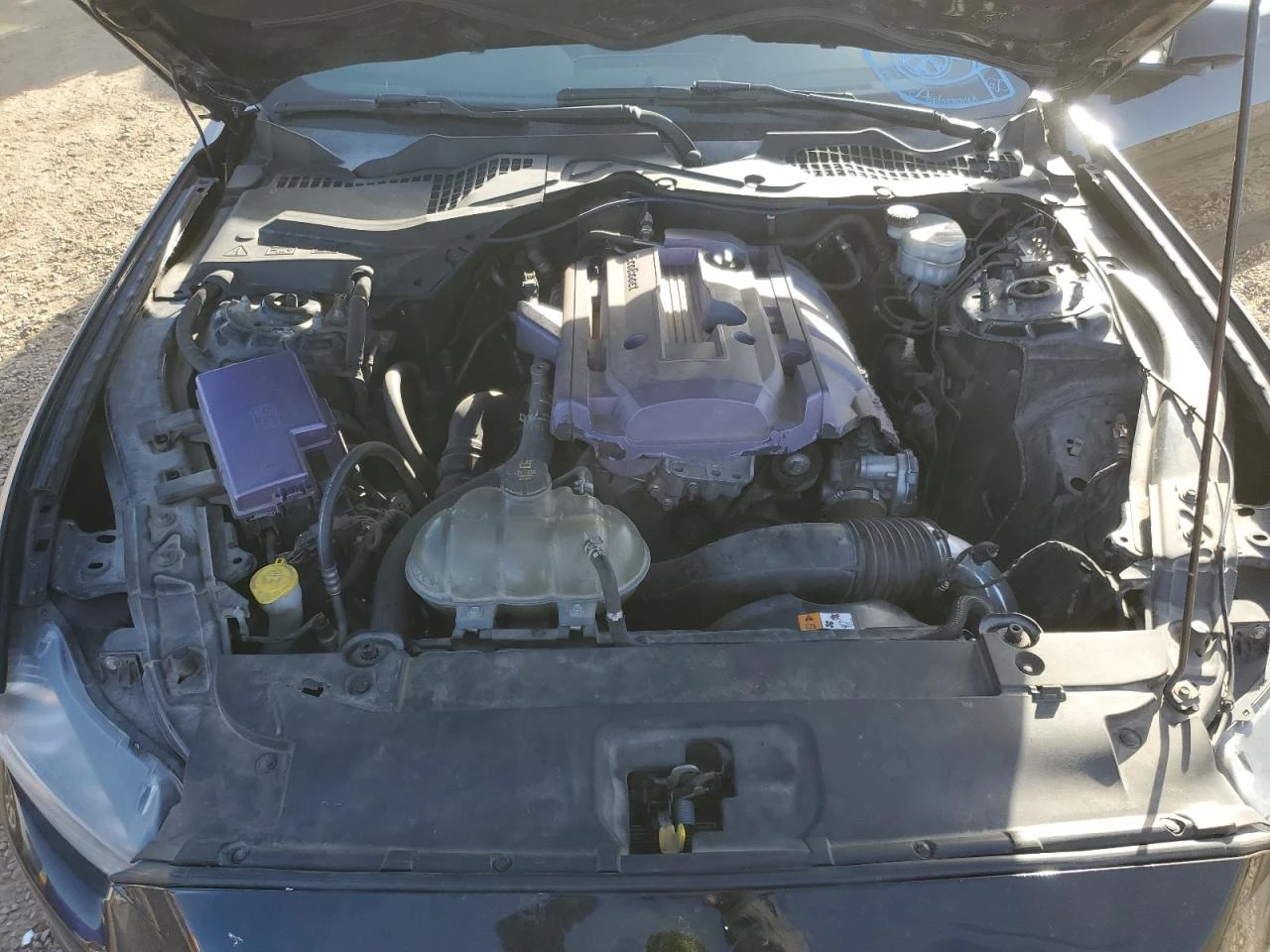 Ford Mustang * ���� ����* ����. ����*  | Mobile.bg � ����������� 11