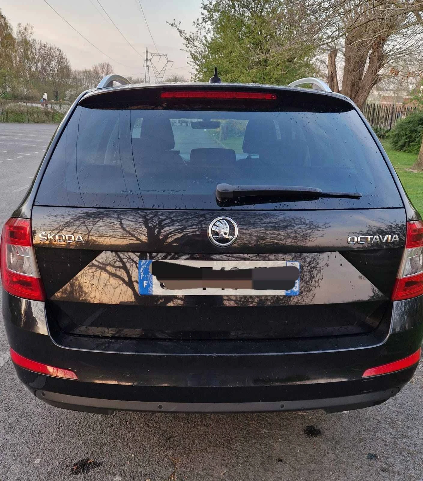 Skoda Octavia, снимка 4 - Автомобили и джипове - 54455211