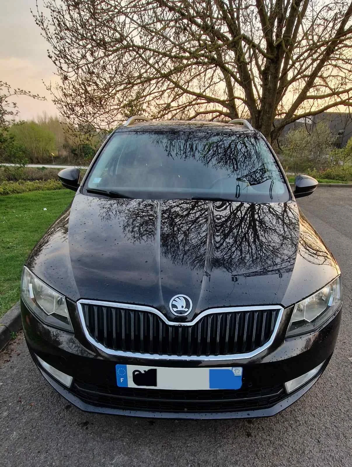 Skoda Octavia, снимка 12 - Автомобили и джипове - 54455211