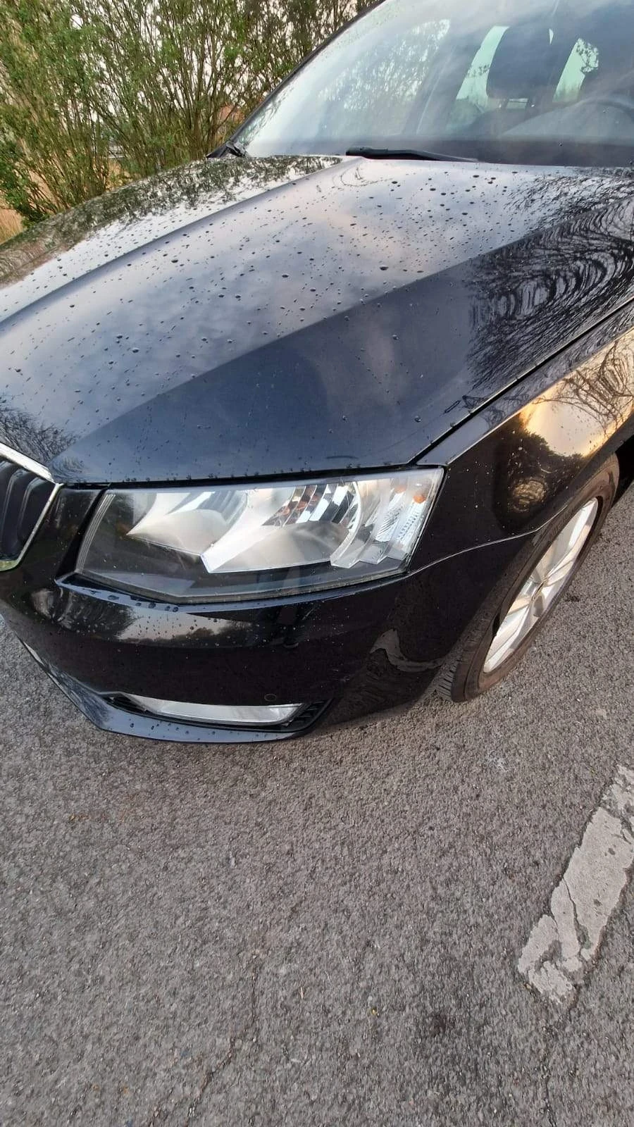 Skoda Octavia, снимка 11 - Автомобили и джипове - 54455211