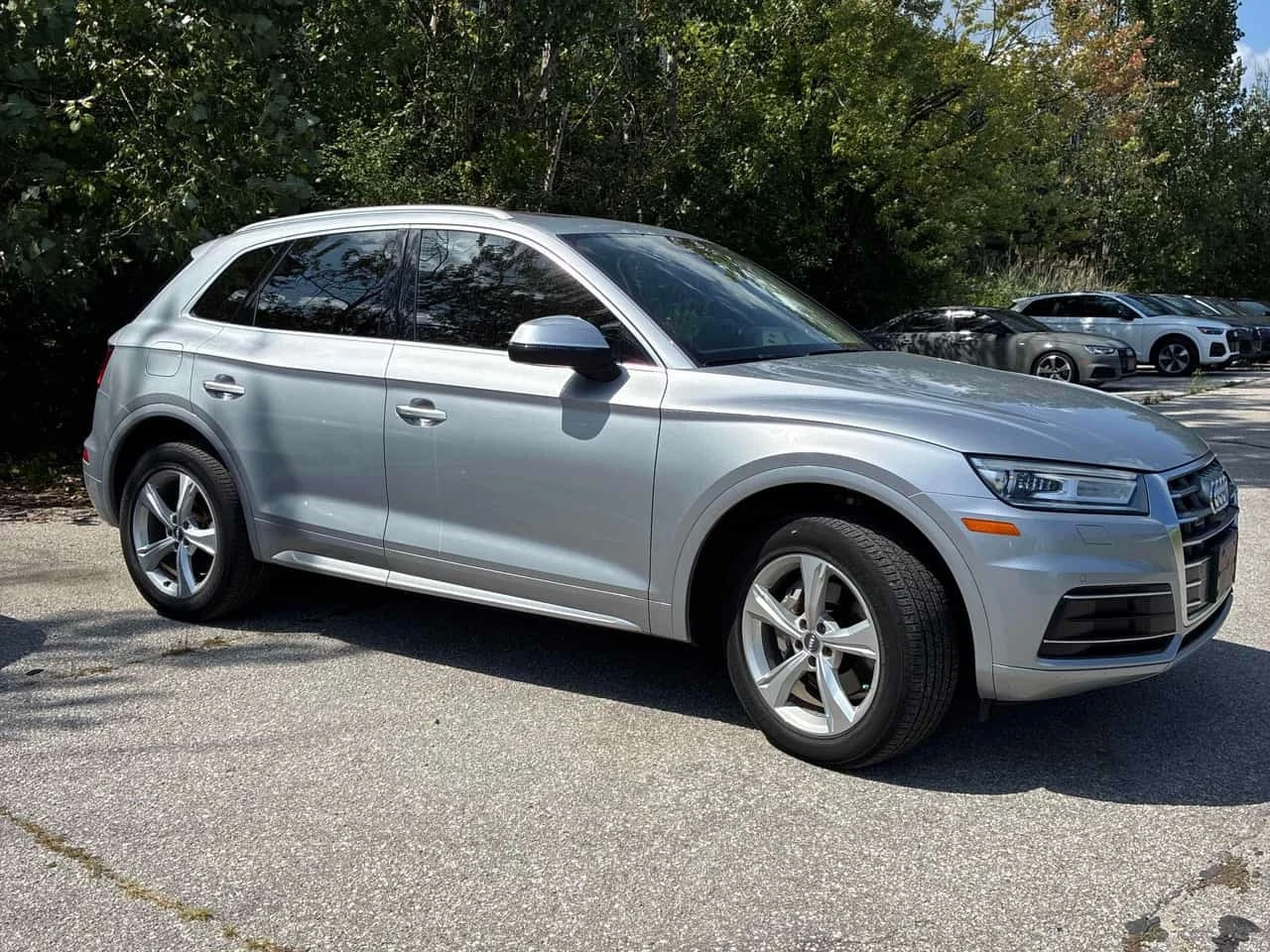 Audi Q5 * Progressiv * CARFAX * ОПЦИЯ ЗА ФИНАНСИРАНЕ, снимка 3 - Автомобили и джипове - 55771966