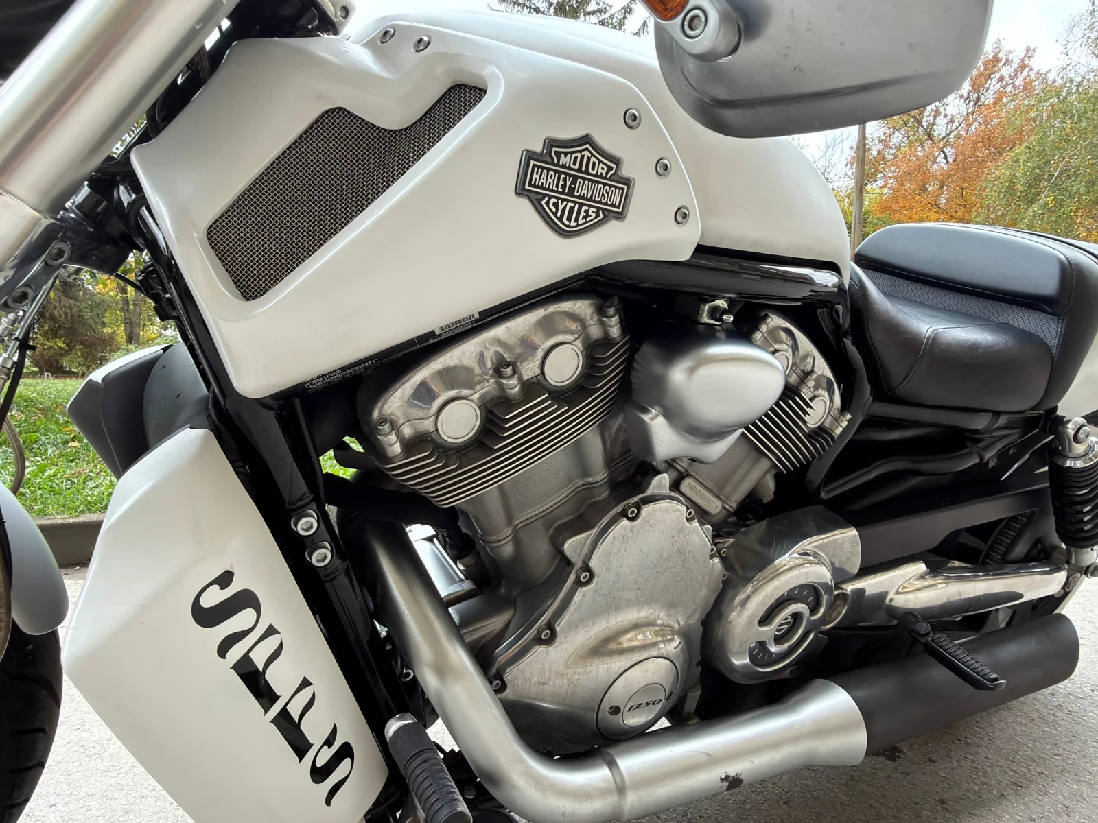 Harley-Davidson V-Rod Muscle swiss ���� 260 R ABS | Mobile.bg � ����������� 14