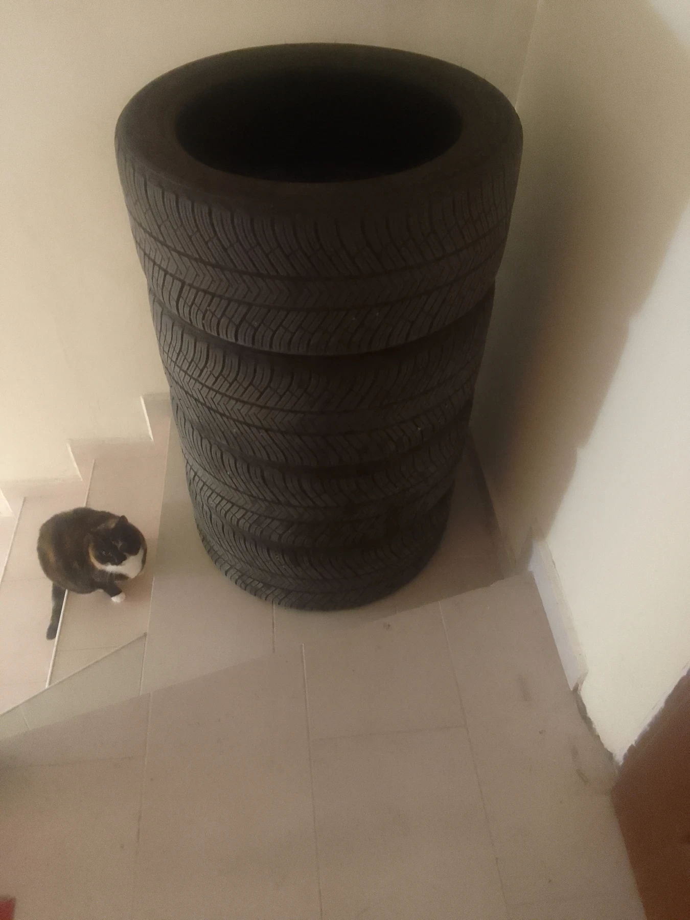 ���� 265/40R19 | Mobile.bg � ����������� 8