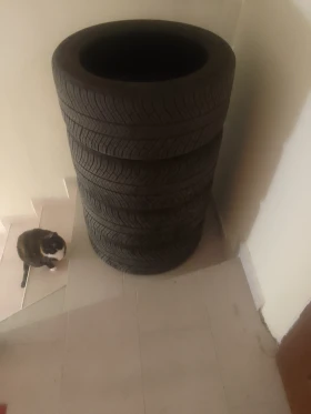 Гуми Зимни 265/40R19, снимка 8 - Гуми и джанти - 52929565