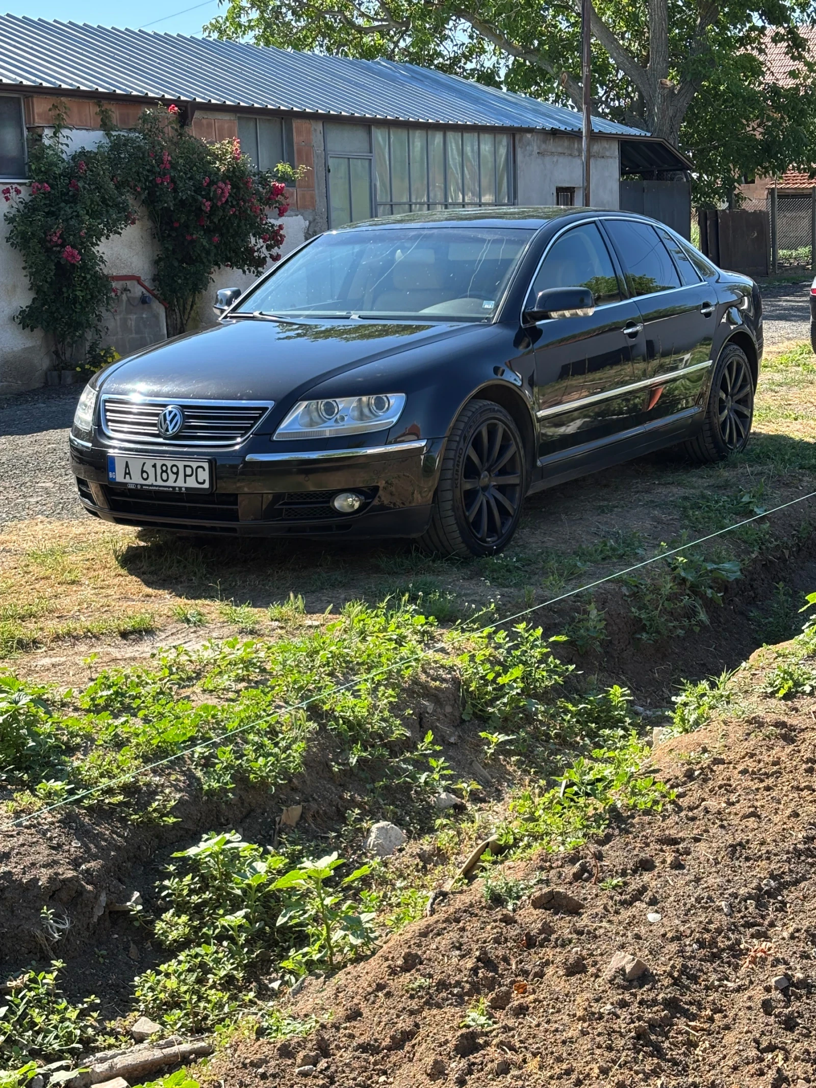 VW Phaeton