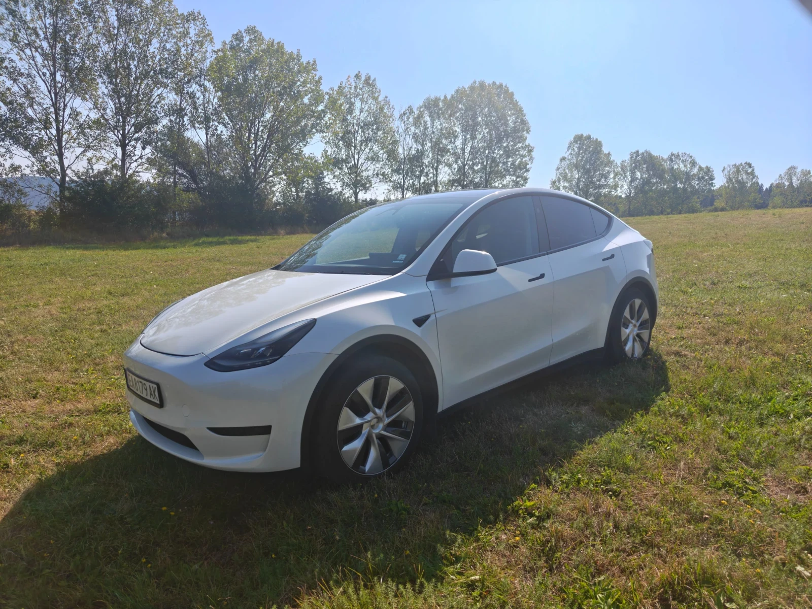 Tesla Model Y Standard Range, снимка 6 - Автомобили и джипове - 55825650