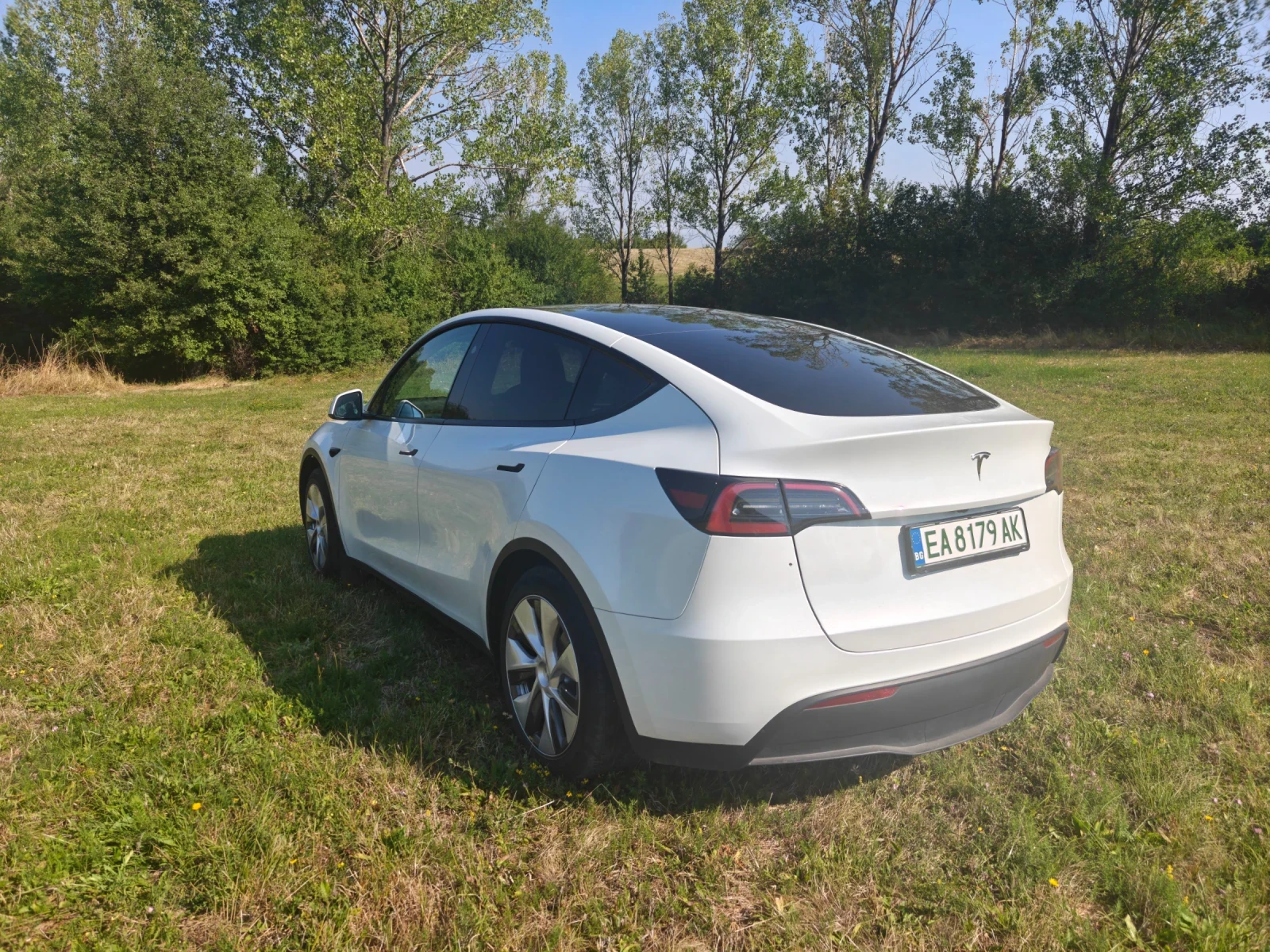 Tesla Model Y Standard Range, снимка 5 - Автомобили и джипове - 55825650
