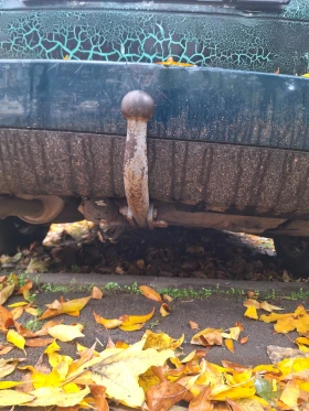 VW Passat 1.6, снимка 6