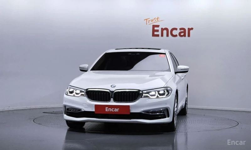 BMW 530, снимка 3 - Автомобили и джипове - 53151080