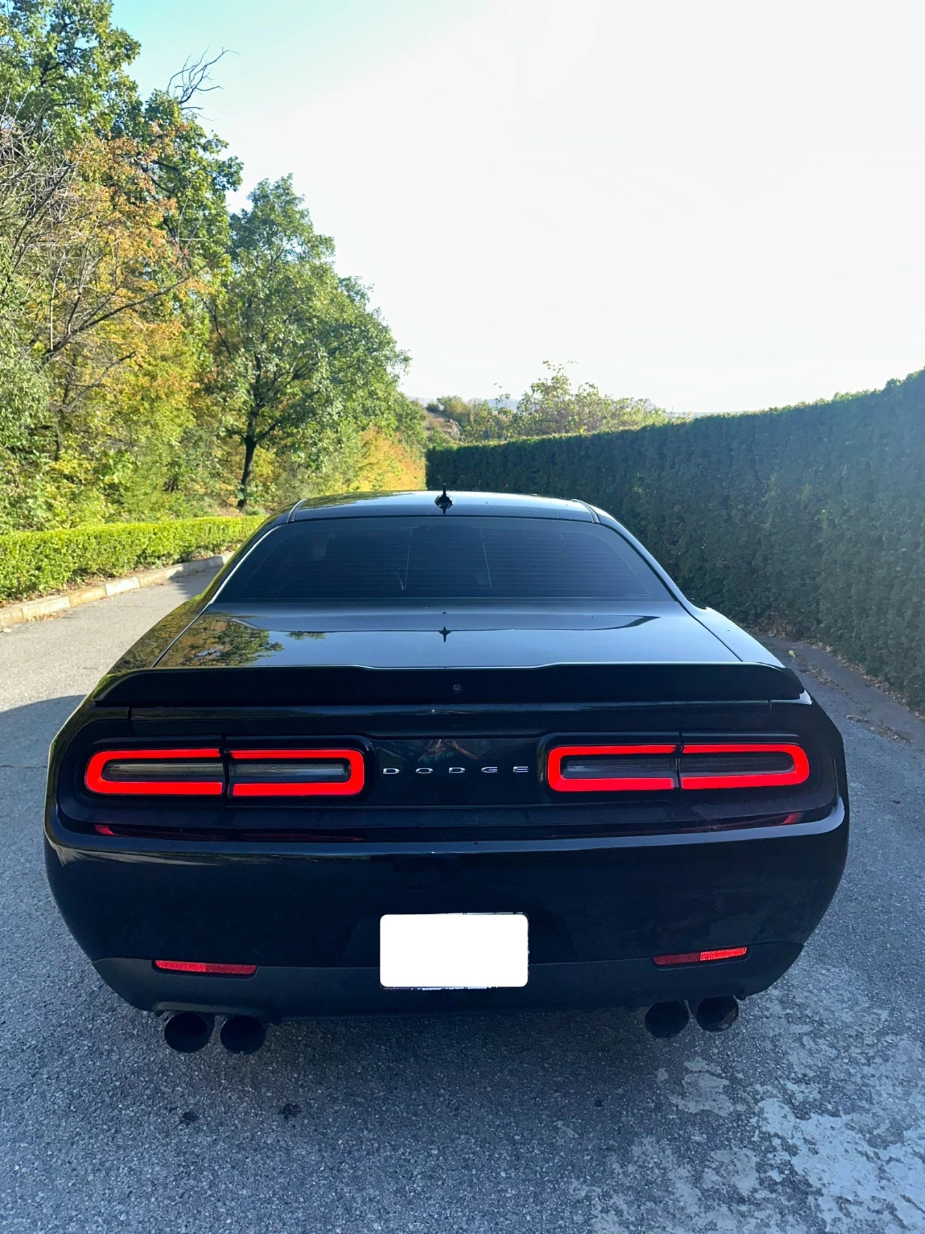 Dodge Challenger 5.7 R/T PLUS - изображение 6