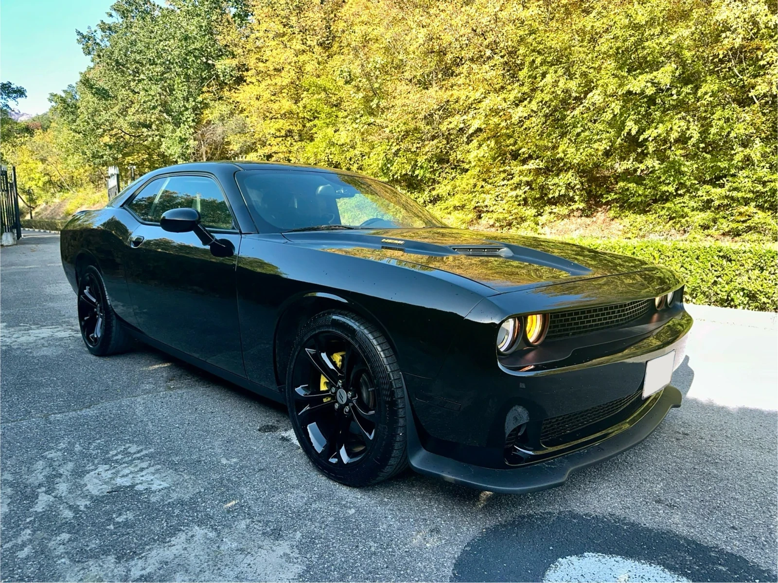 Dodge Challenger 5.7 R/T PLUS - изображение 3