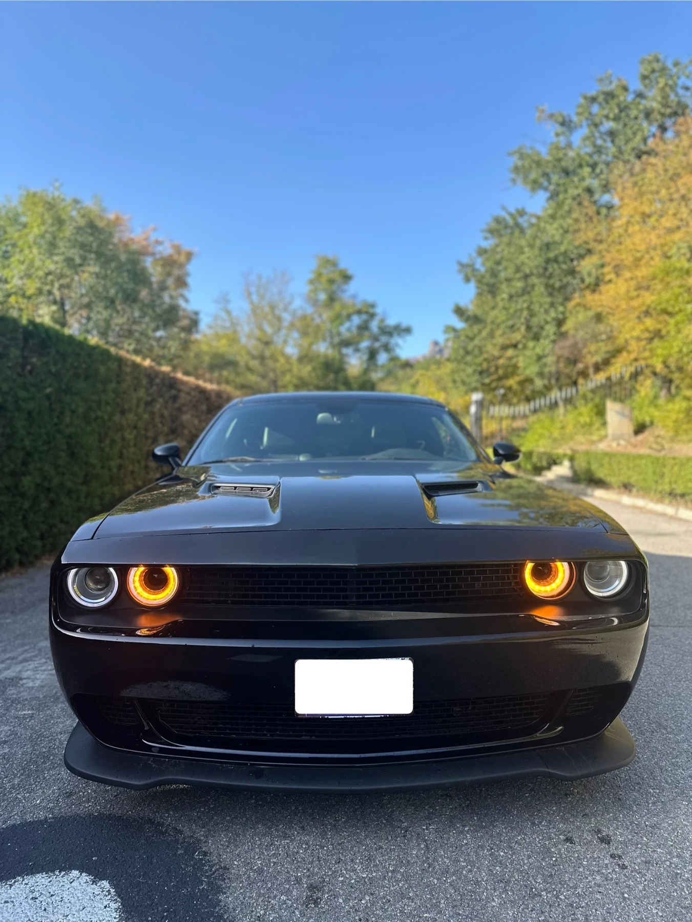 Dodge Challenger 5.7 R/T PLUS - изображение 10