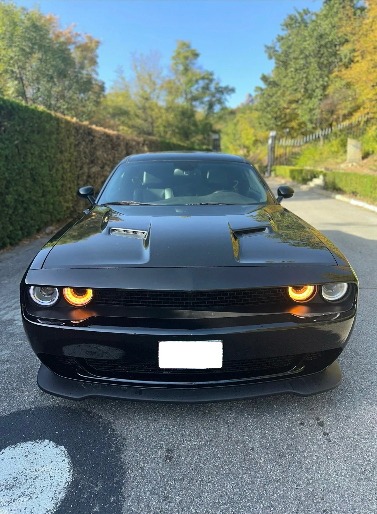 Dodge Challenger 5.7 R/T PLUS - изображение 2