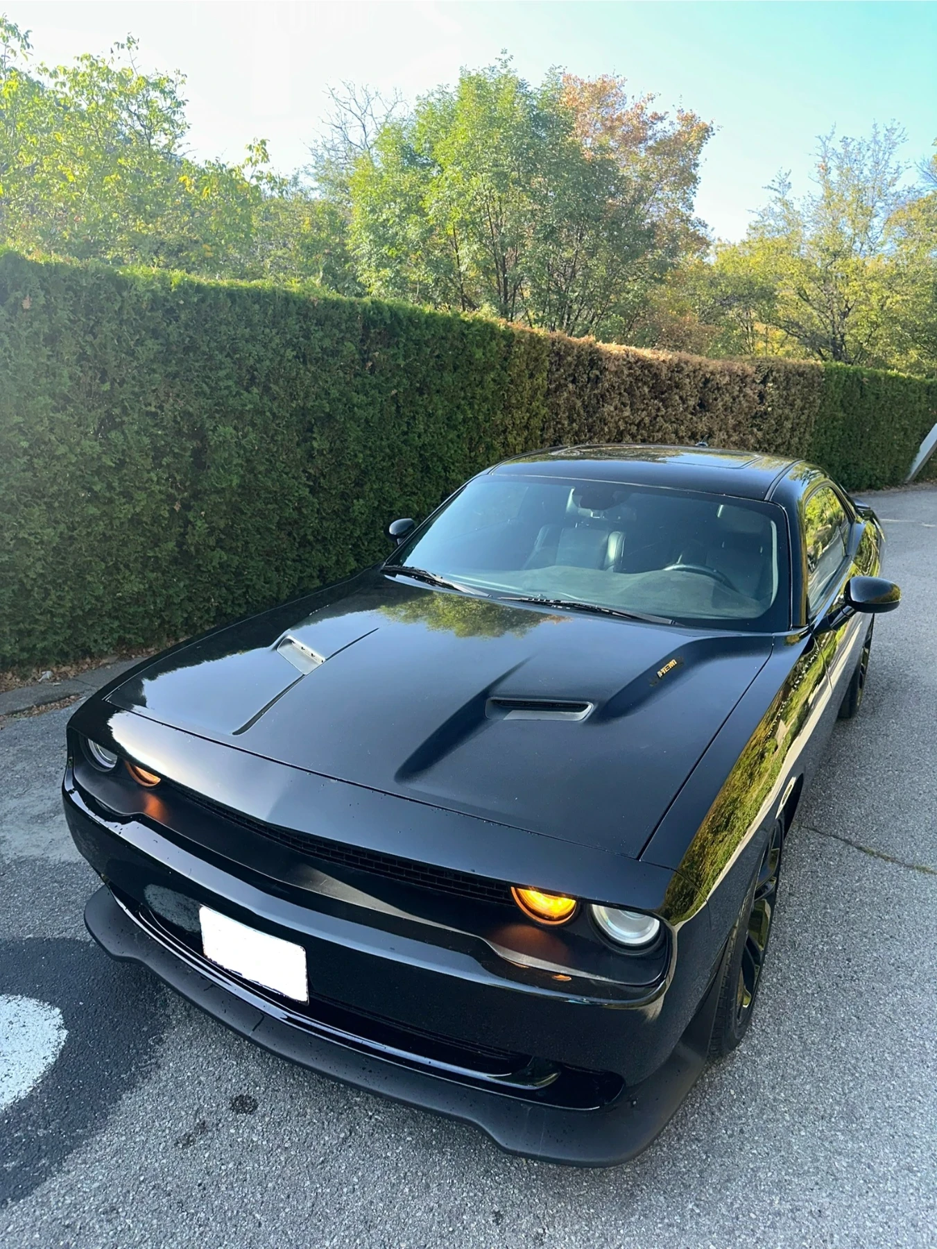 Dodge Challenger 5.7 R/T PLUS - изображение 9