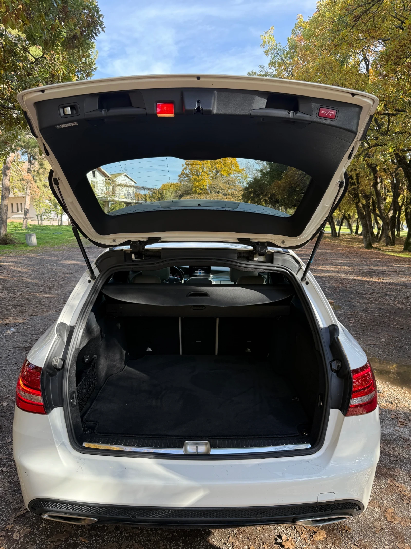 Mercedes-Benz C 250 AMG Line Burm/Pano/ | Mobile.bg   5