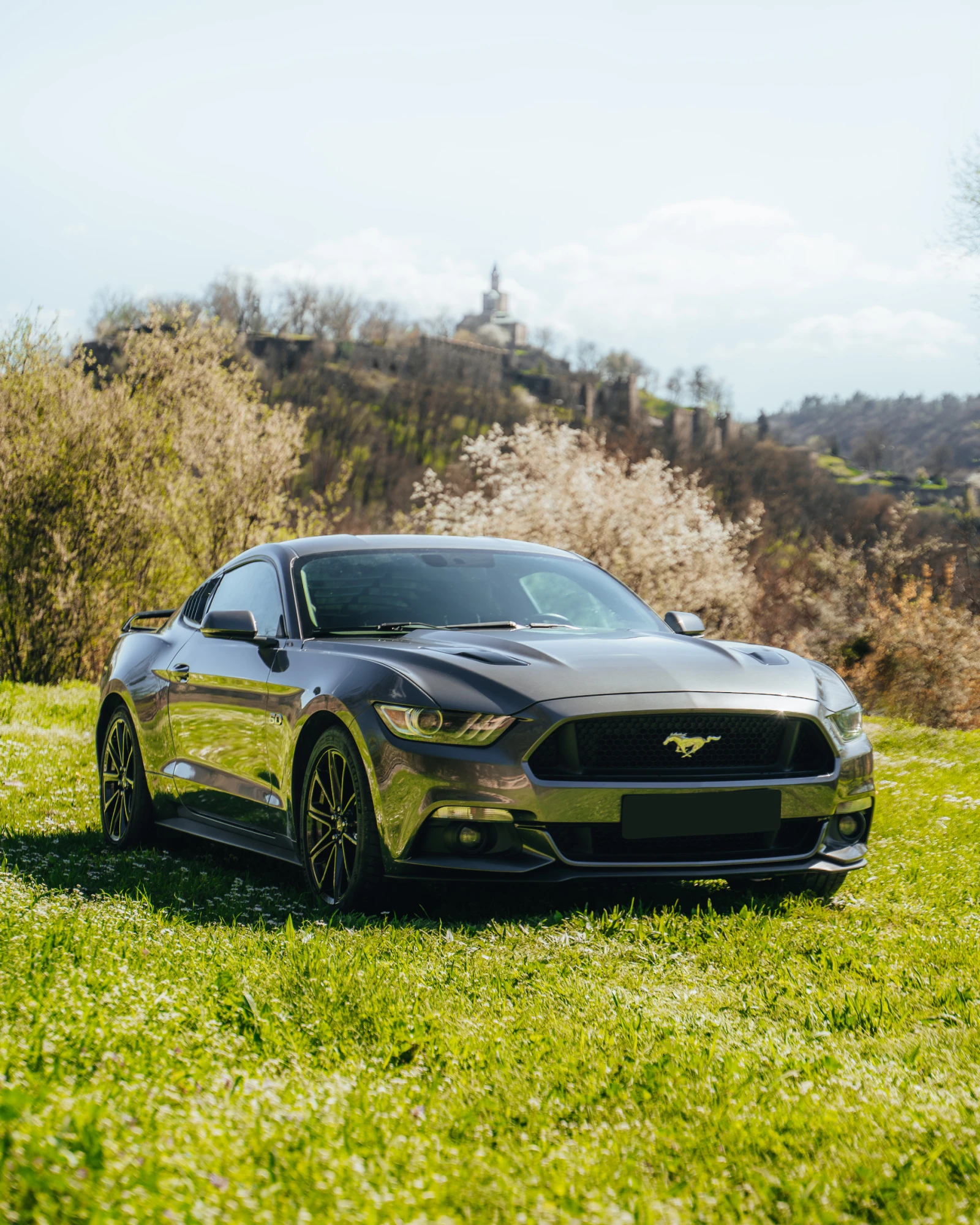Ford Mustang 5.0 GT Premium