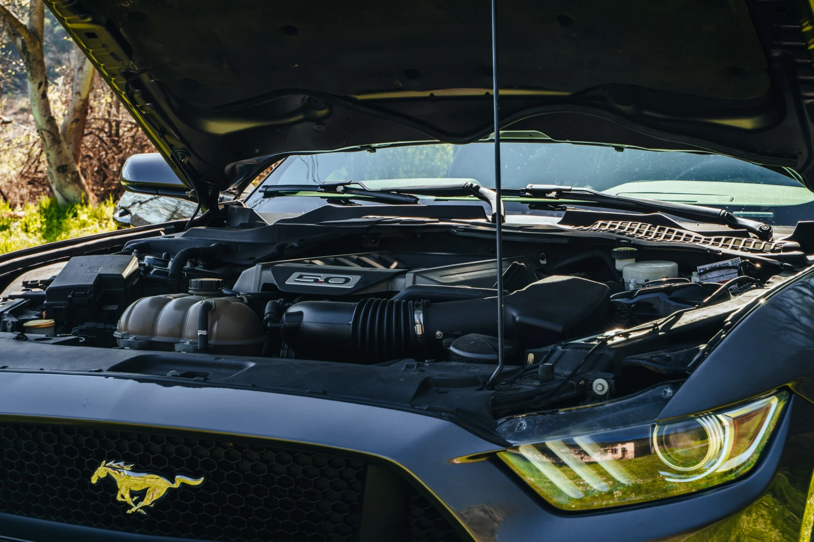 Ford Mustang 5.0 GT Premium, снимка 11 - Автомобили и джипове - 54128944