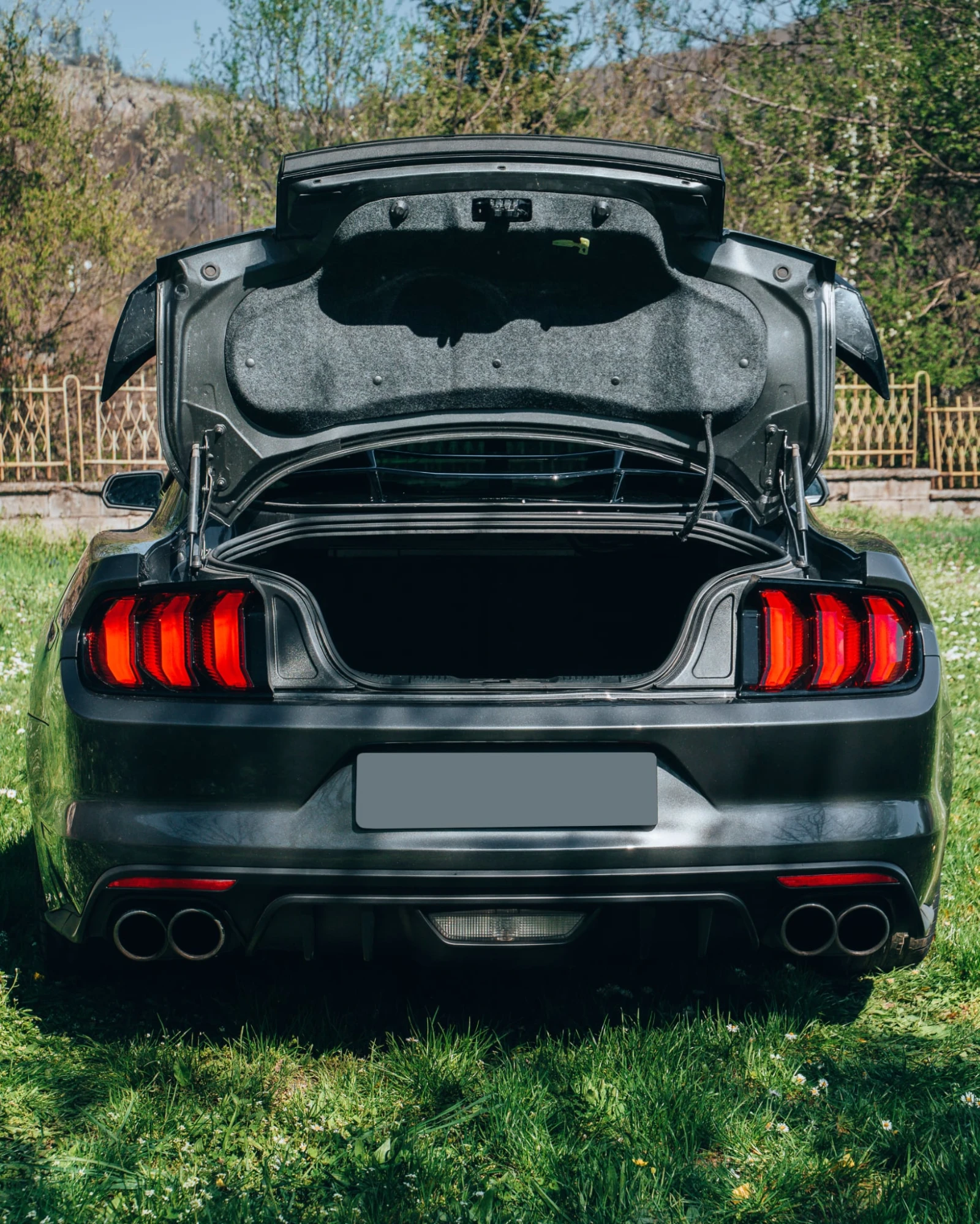 Ford Mustang 5.0 GT Premium, снимка 12 - Автомобили и джипове - 54128944