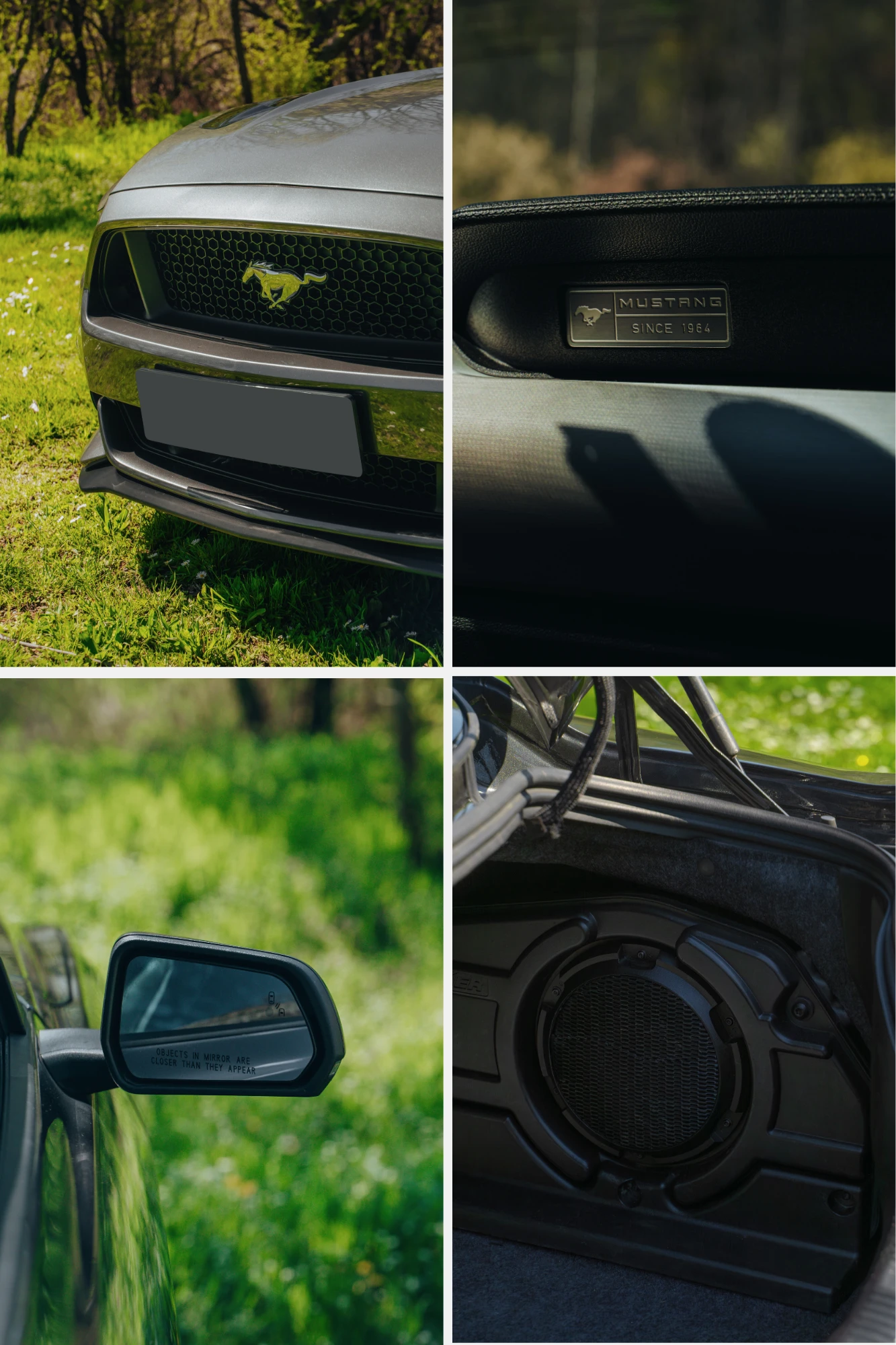 Ford Mustang 5.0 GT Premium, снимка 14 - Автомобили и джипове - 54128944