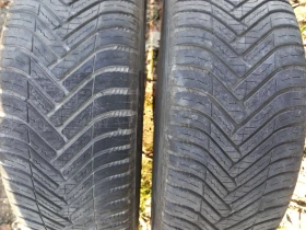 ������ ����