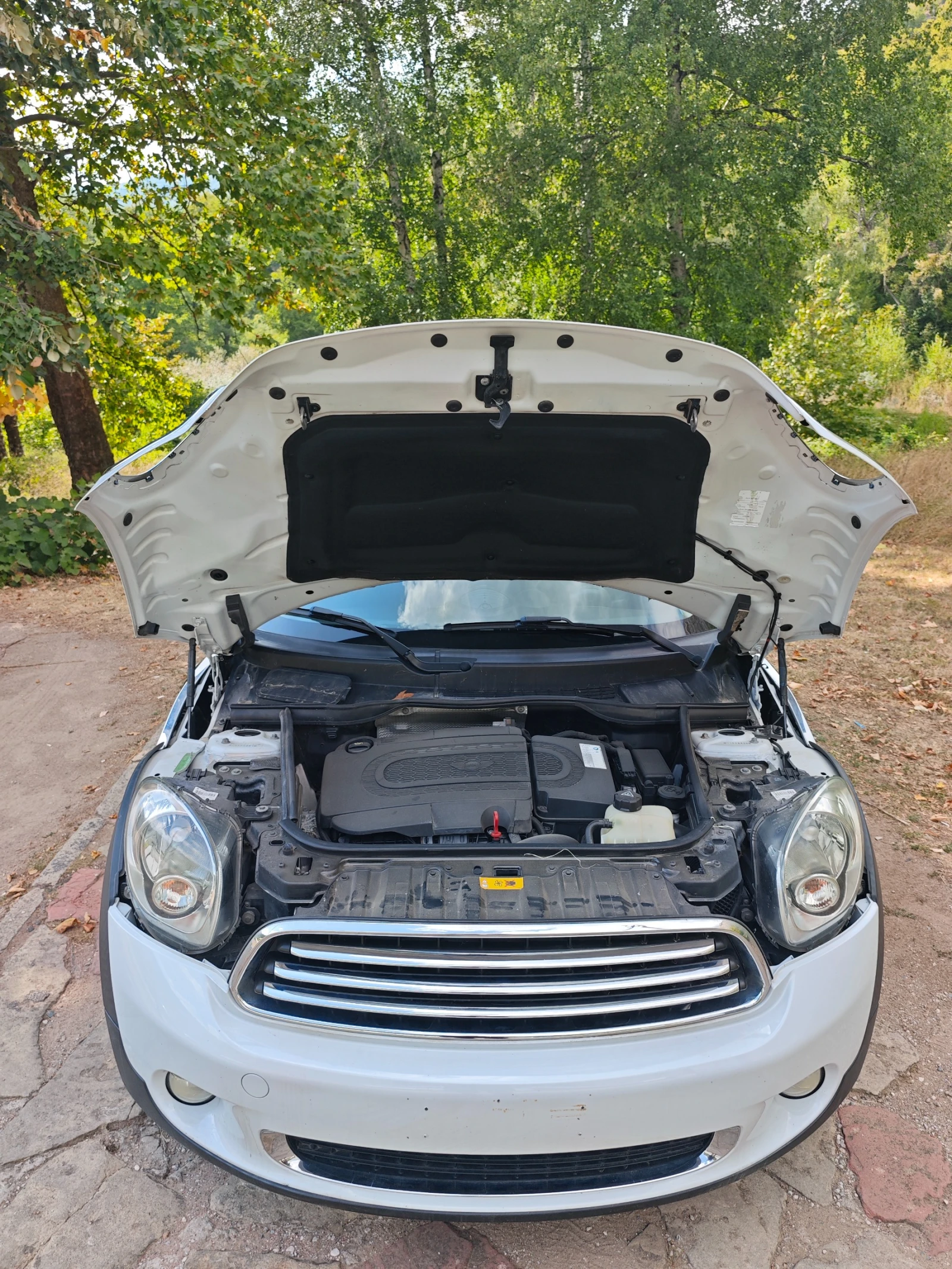 Mini Countryman 1.6TDI НОВ ВНОС, снимка 12 - Автомобили и джипове - 55941475