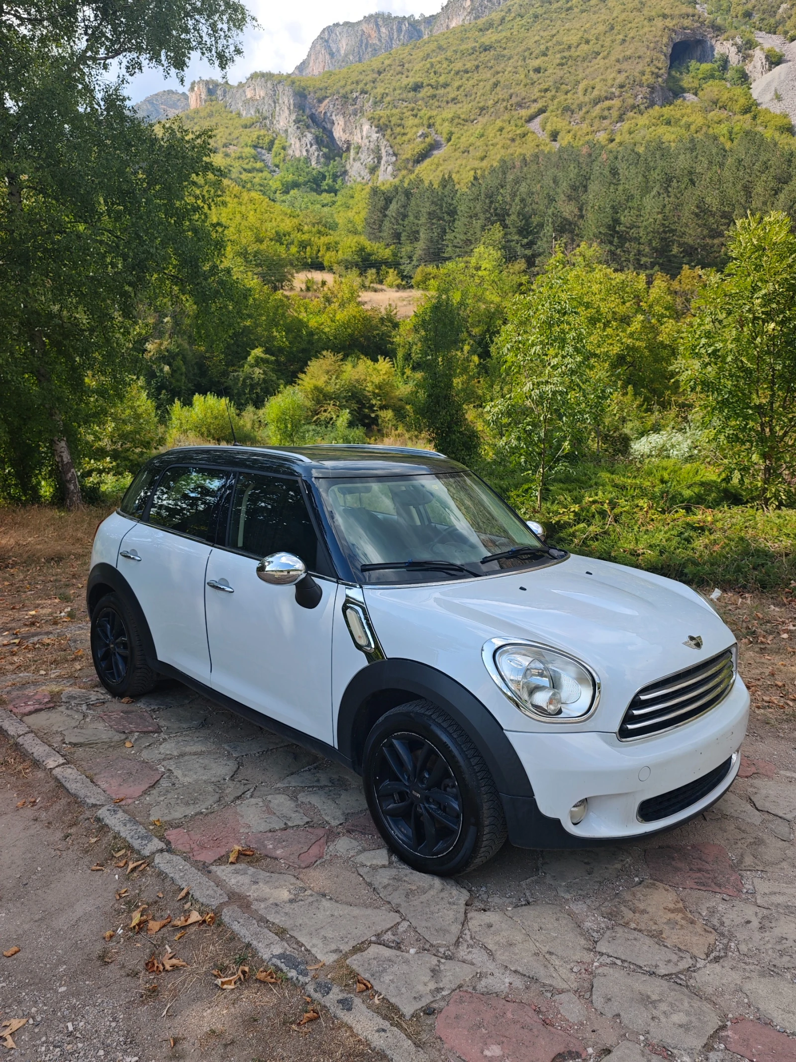 Mini Countryman 1.6TDI НОВ ВНОС, снимка 15 - Автомобили и джипове - 55941475