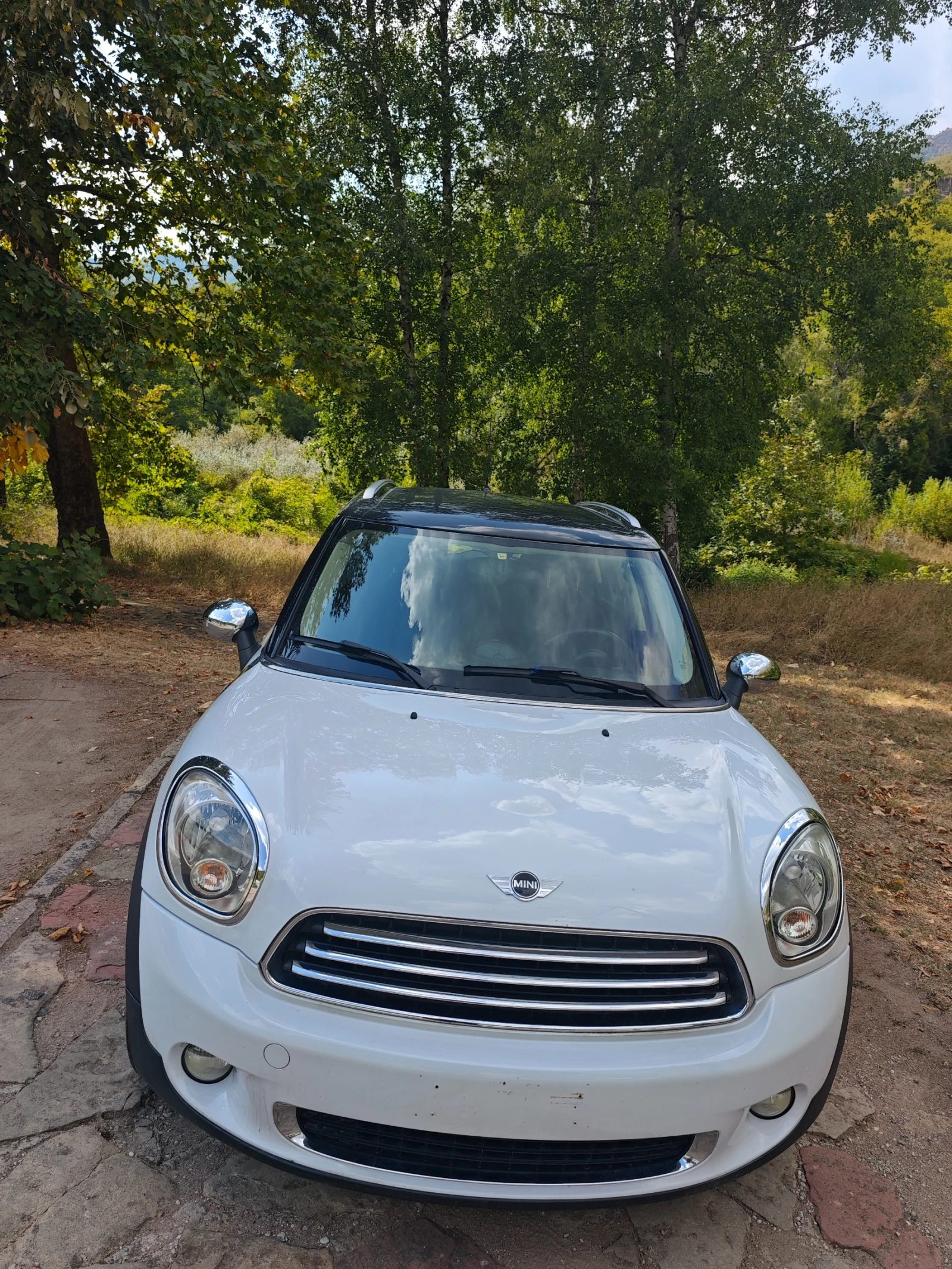 Mini Countryman 1.6TDI НОВ ВНОС, снимка 2 - Автомобили и джипове - 55941475