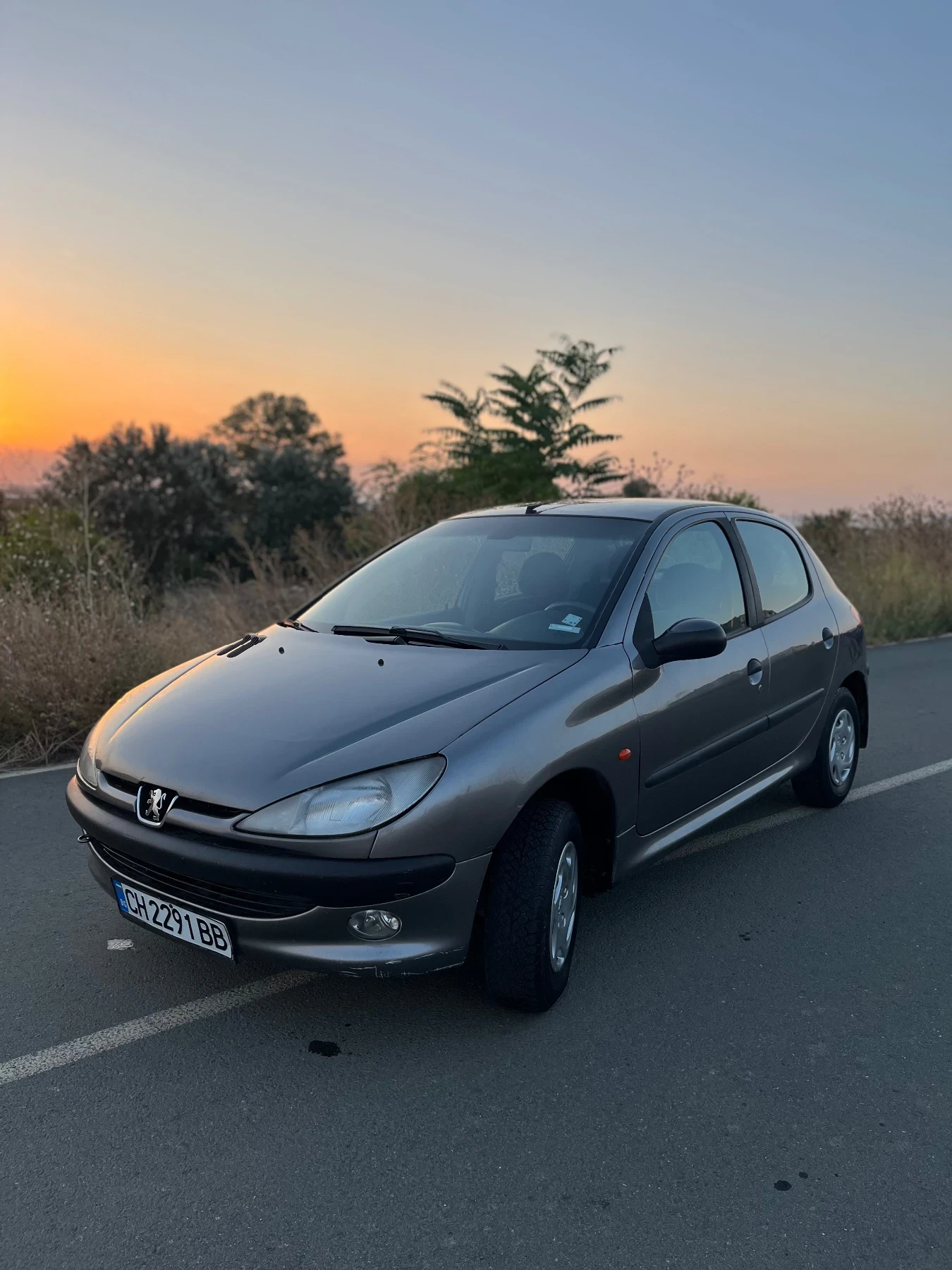 Peugeot 206  - изображение 3