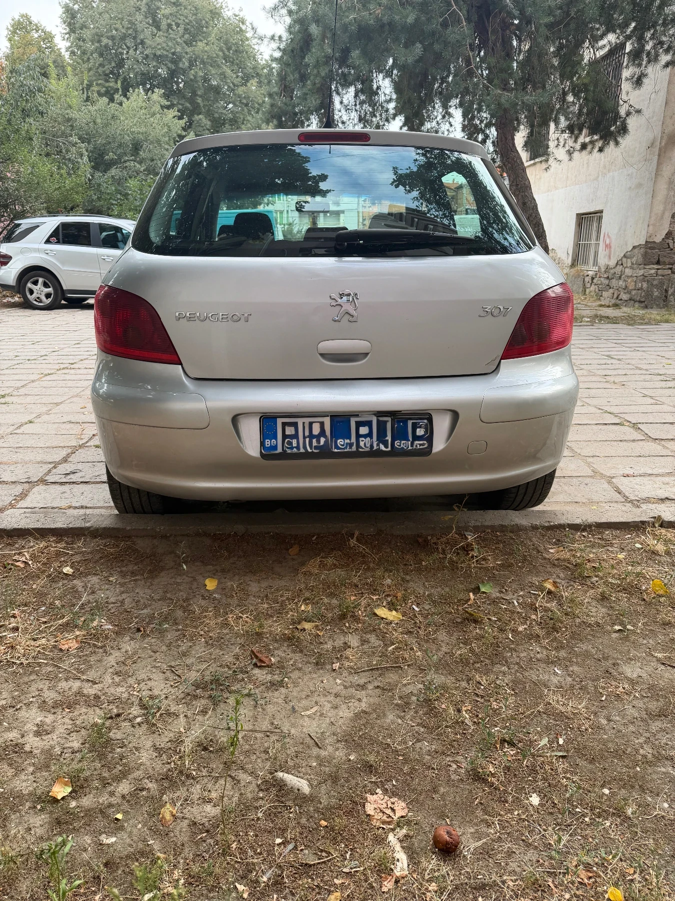 Peugeot 307 2.0 HDI , снимка 2 - Автомобили и джипове - 55996916