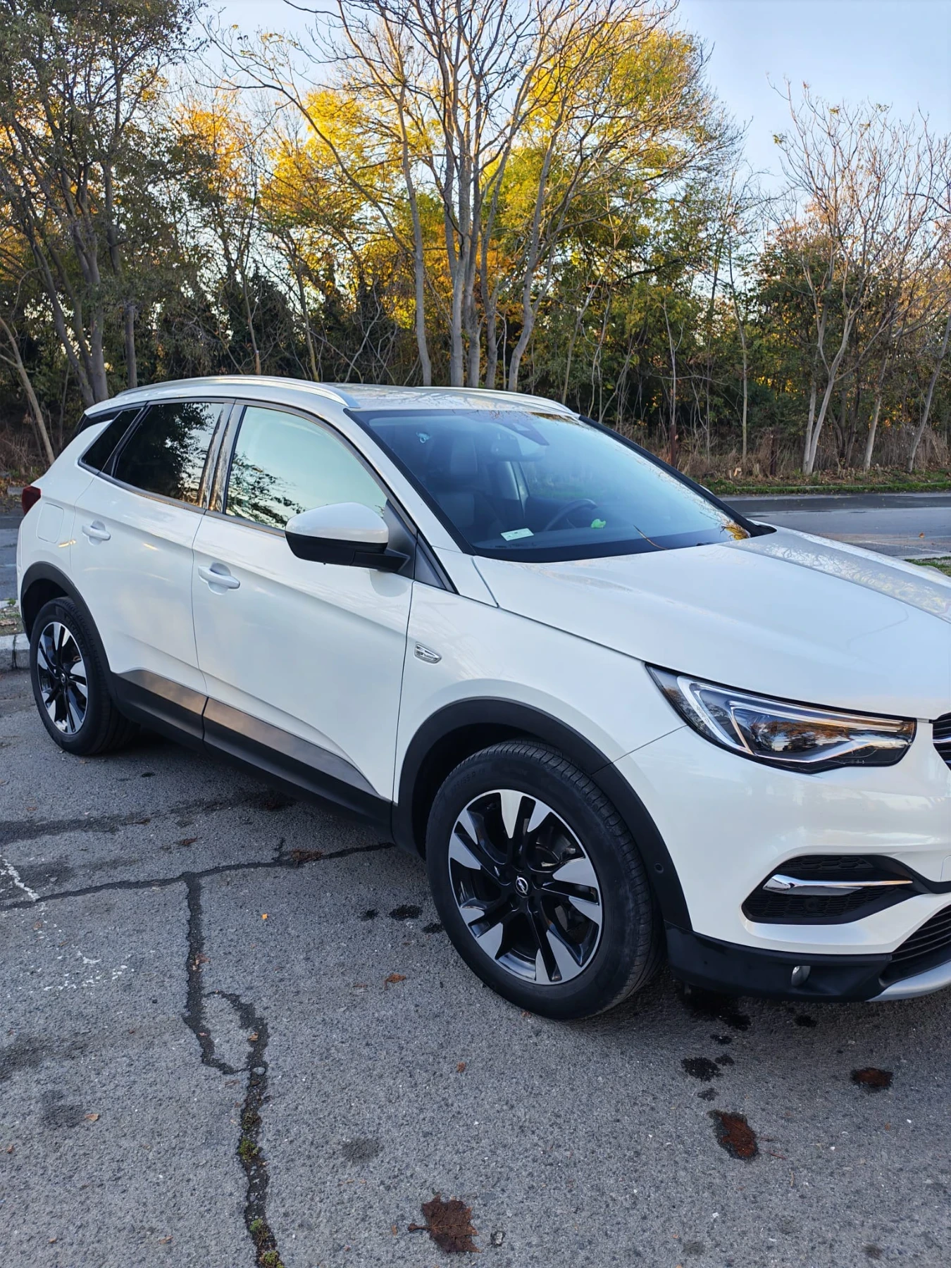 Opel Grandland X, снимка 2 - Автомобили и джипове - 56652386