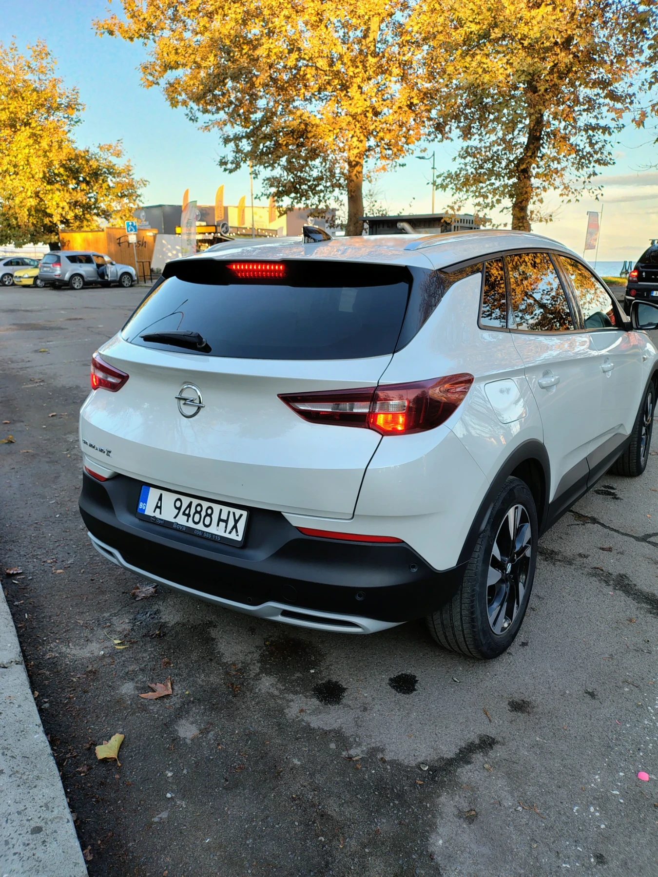 Opel Grandland X, снимка 4 - Автомобили и джипове - 56652386