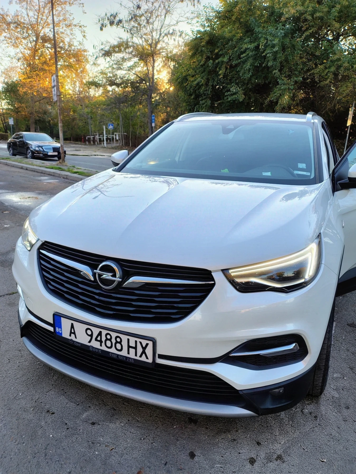 Opel Grandland X