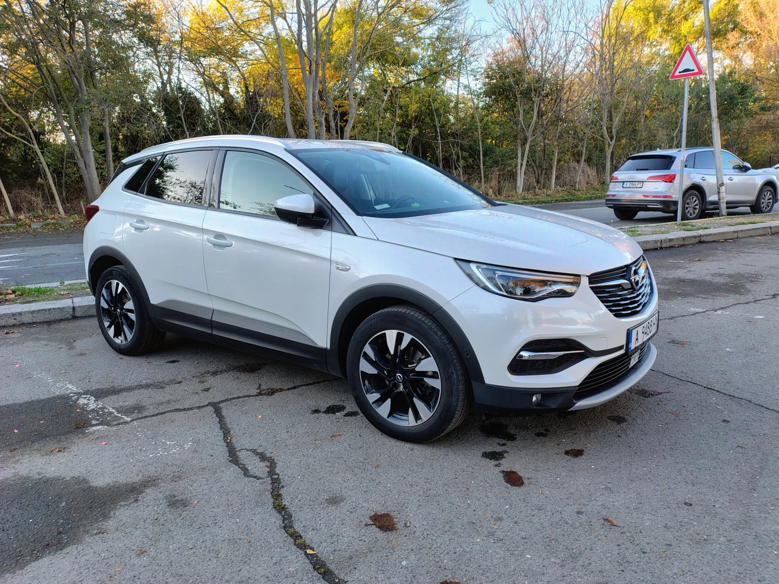 Opel Grandland X, снимка 3 - Автомобили и джипове - 56652386