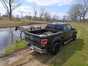 Ford F150 FX4 5.4, снимка 17