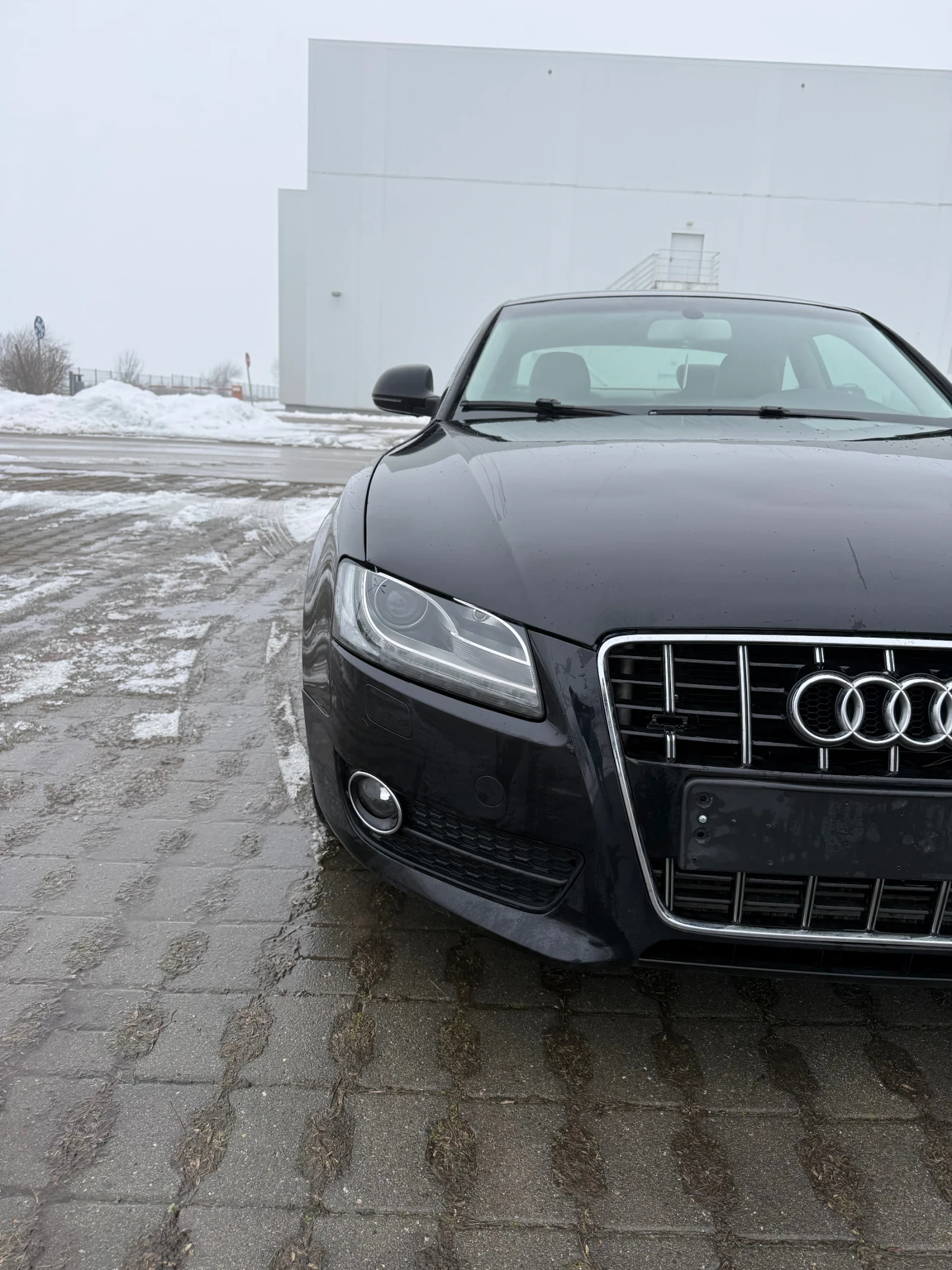 Audi A5 QUATTRO 3.0 TDI | Mobile.bg � ����������� 3