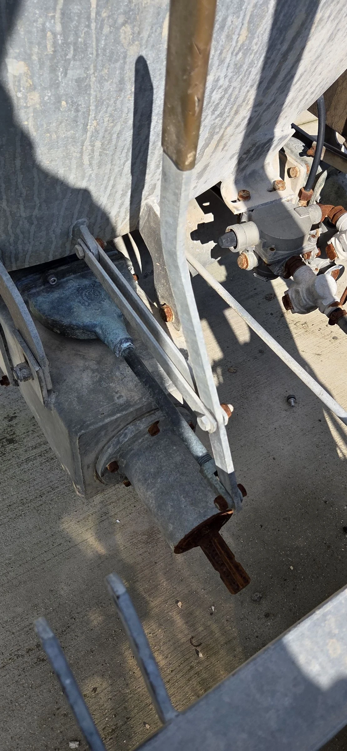 Друг вид Внос BSF - изображение 7