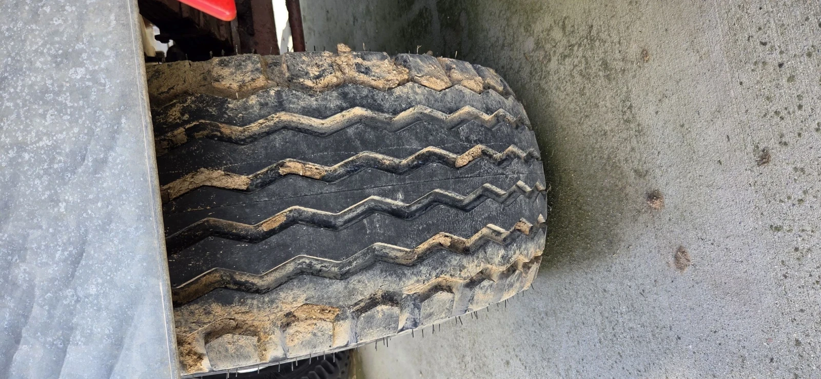 Друг вид Внос BSF - изображение 8