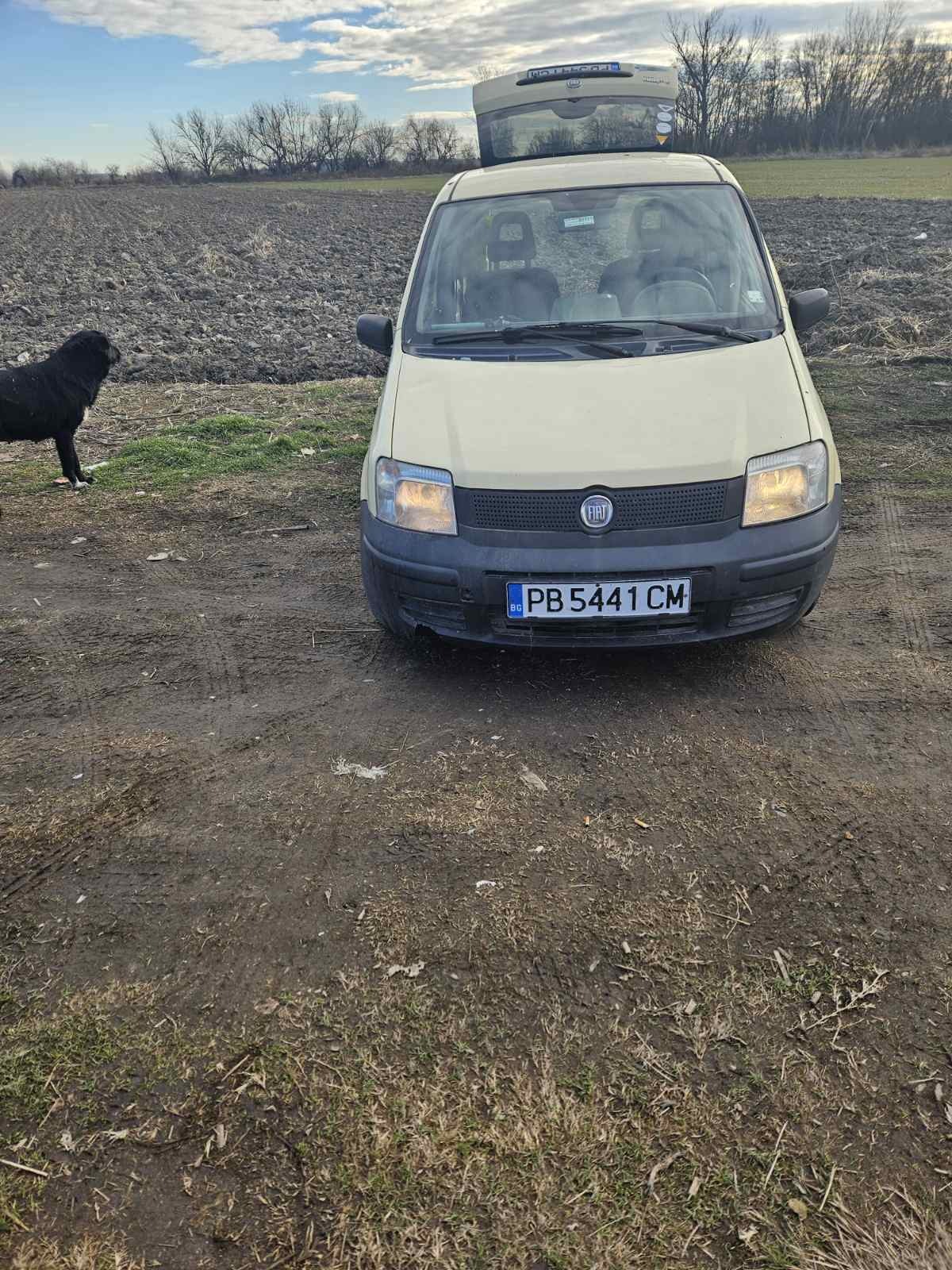 Fiat Panda  - изображение 1