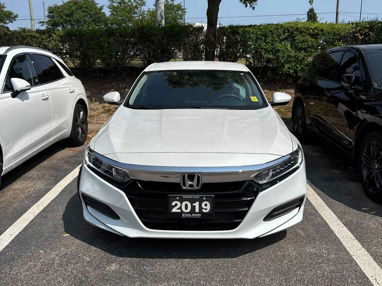 Honda Accord * LX * ���������� ��� ������������ ������*  | Mobile.bg � ����������� 6