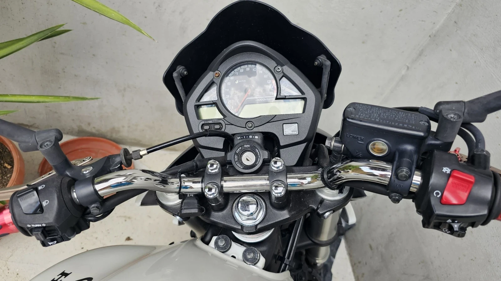 Honda Hornet, снимка 5 - Мотоциклети и мототехника - 53894070